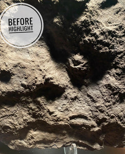 Two Slabs, Positive & Negative Fossil Dinosaur Tracks for Sale