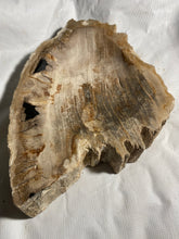 Decorative “Petrified” Fossil Wood Bowl #2 - Fossil Daddy