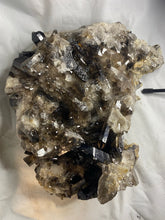 Huge 14lb Smoky Quartz Crystal Cluster from Arkansas for Sale - Fossil Daddy
