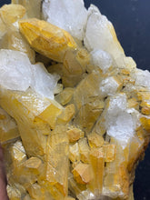 Cluster of Quartz Crystals from Massachusetts for Sale - Fossil Daddy