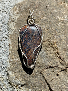 Fossil Dinosaur Gembone Sterling Silver Wrapped Pendant - Fossil Daddy