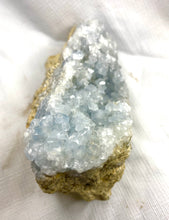 Celestine Crystal Cluster from Madagascar for Sale - Fossil Daddy