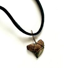 Authentic Fossil Tiger Shark Tooth Necklace - Handcrafted and One-of-a-Kind!