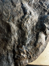 Copy of * Raised Fossil Grallator Track
