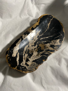 Decorative “Petrified” Fossil Wood Bowl #4 - Fossil Daddy
