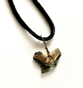 Authentic Fossil Tiger Shark Tooth Necklace - Handcrafted and One-of-a-Kind!